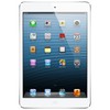 Apple iPad mini 16Gb Wi-Fi + Cellular белый - Владикавказ